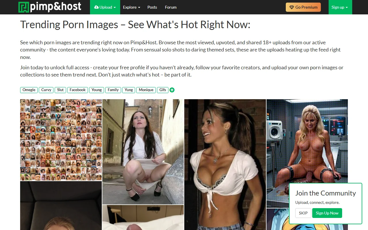 Screenshot: Pimpandhost Screenshot of Pimpandhost